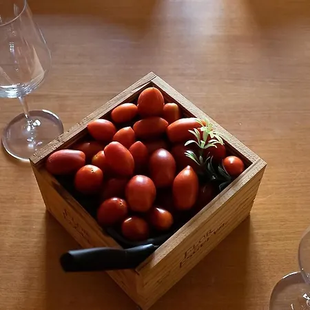 Txakolin Apartment *