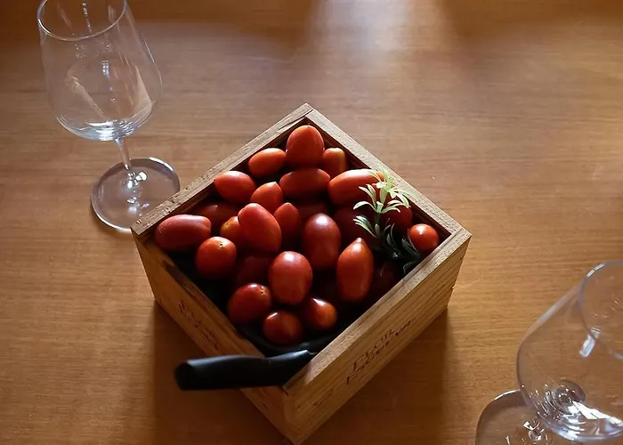 Txakolin Lägenhet *